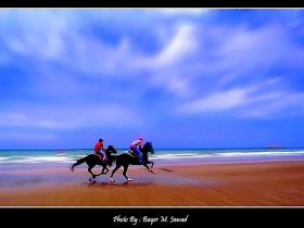 صور من ابداع اعضاء عمان فوتو