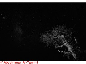 صور من ابداع اعضاء عمان فوتو