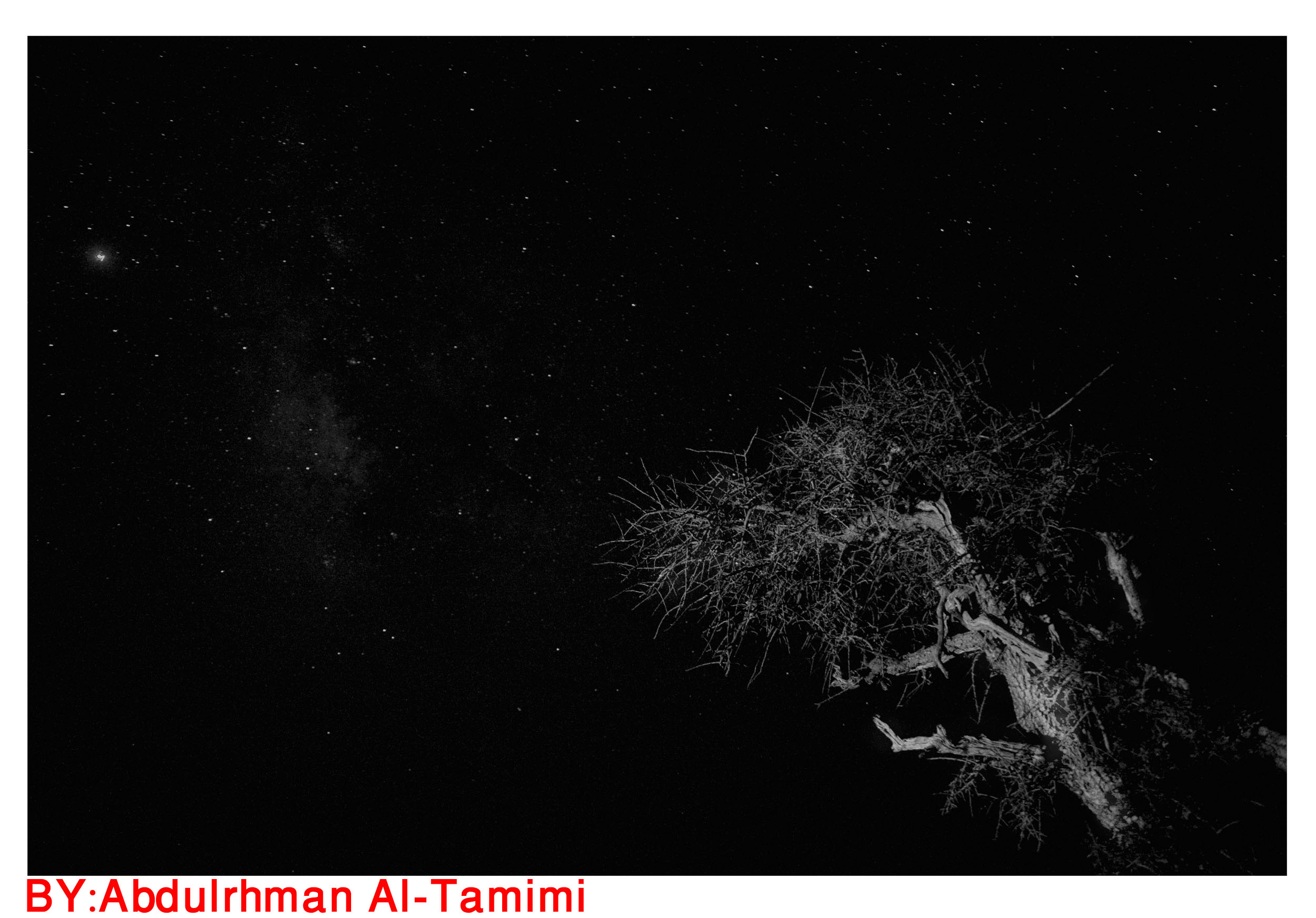 صور من ابداع اعضاء عمان فوتو
