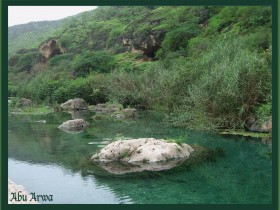 صور من ابداع اعضاء عمان فوتو