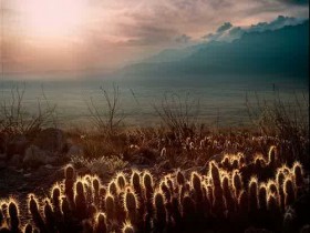 2046031332_a219af4801_1_