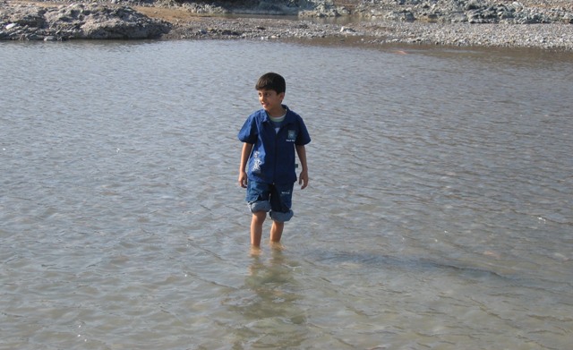 صور من ابداع اعضاء عمان فوتو