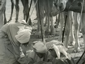 صور من ابداع اعضاء عمان فوتو