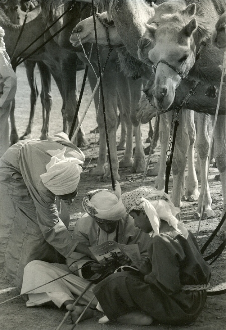 صور من ابداع اعضاء عمان فوتو