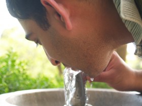 صور من ابداع اعضاء عمان فوتو