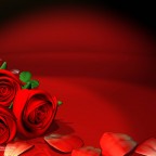 red_roses