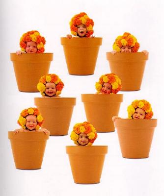 Baby-055