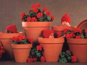Baby-040