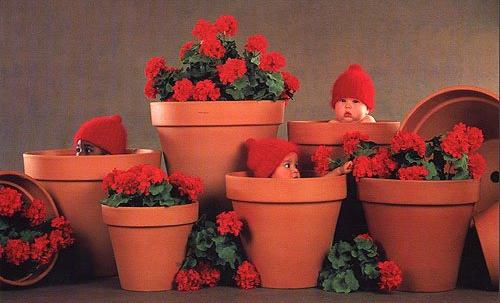 Baby-040