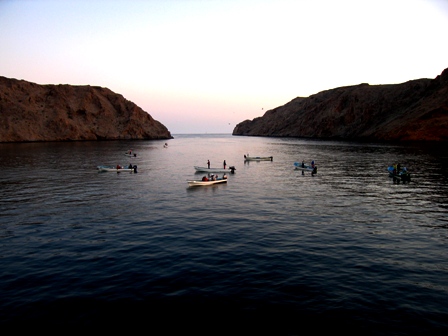 صور من ابداع اعضاء عمان فوتو