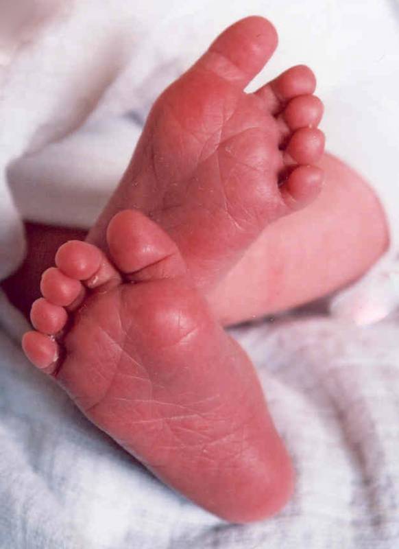صور منوعة من الإنترنت