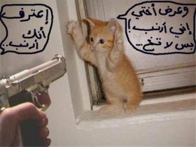 أعترف أنك أرنب