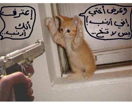 أعترف أنك أرنب