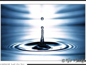 nice_pic_design_photo_43_1_