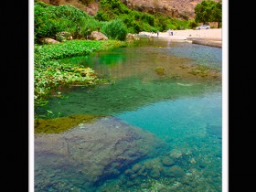 صور من ابداع اعضاء عمان فوتو