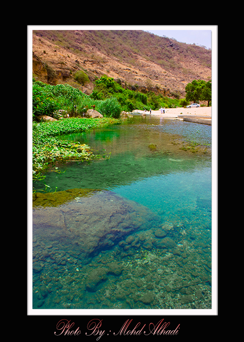 صور من ابداع اعضاء عمان فوتو