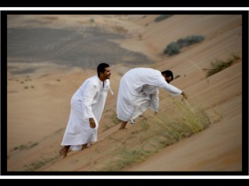 صور من ابداع اعضاء عمان فوتو