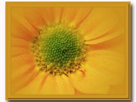 صور منوعة من الإنترنت