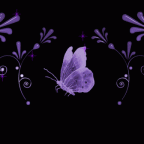 24f17337ddcc3b9b37e4[1]