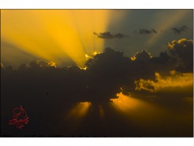 صور من ابداع اعضاء عمان فوتو