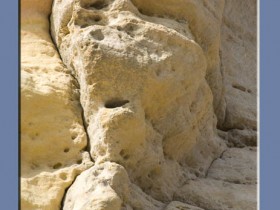 صور من ابداع اعضاء عمان فوتو