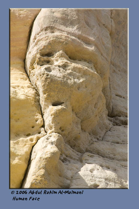 صور من ابداع اعضاء عمان فوتو