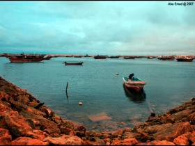 صور من ابداع اعضاء عمان فوتو