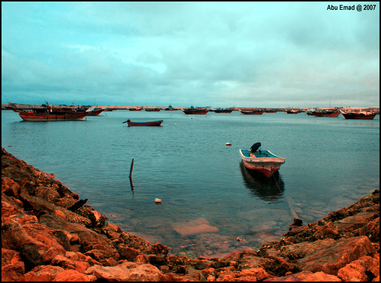 صور من ابداع اعضاء عمان فوتو