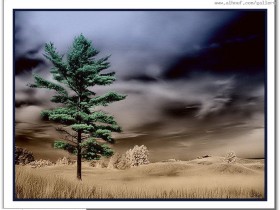 nice_pic_design_photo_70_1_