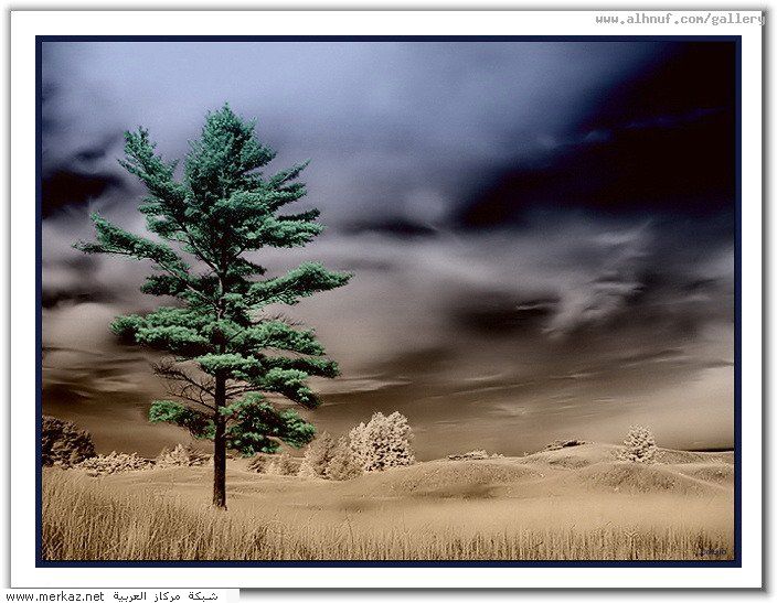 nice_pic_design_photo_70_1_