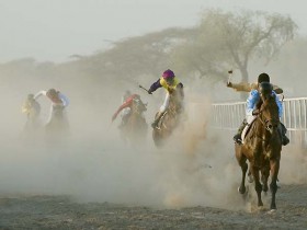 صور من ابداع اعضاء عمان فوتو