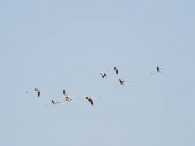 صور من ابداع اعضاء عمان فوتو