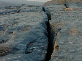 صور من ابداع اعضاء عمان فوتو