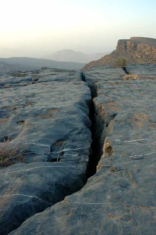 صور من ابداع اعضاء عمان فوتو