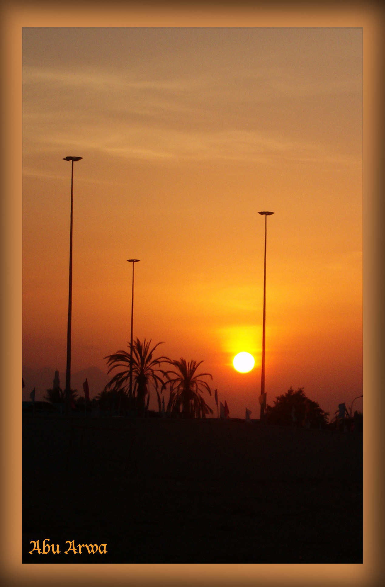 صور من ابداع اعضاء عمان فوتو