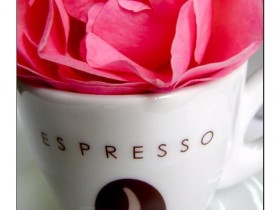 صور من ابداع اعضاء عمان فوتو