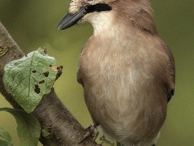 صور منوعة من الإنترنت