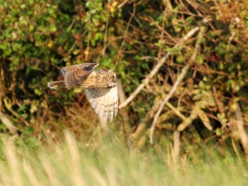 صور منوعة من الإنترنت