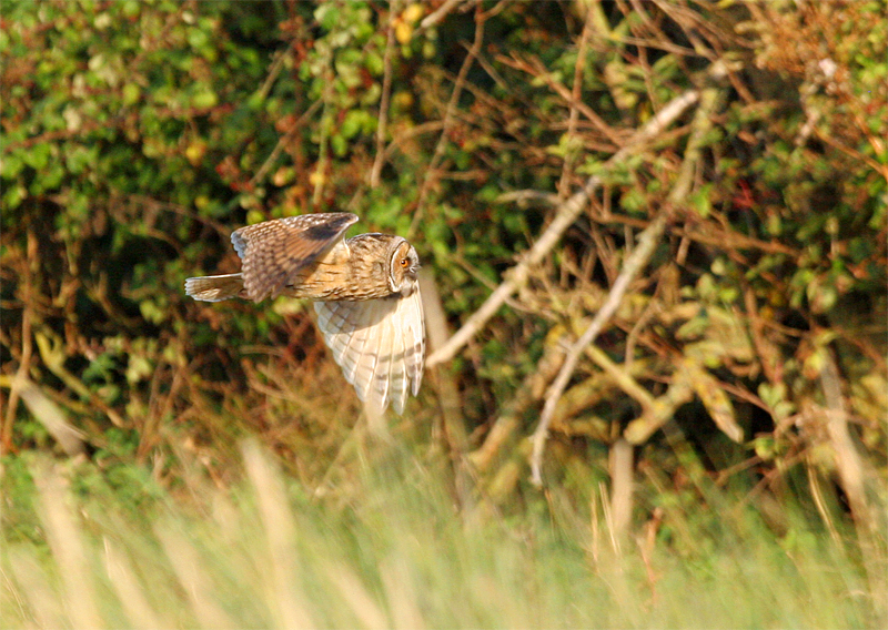 صور منوعة من الإنترنت