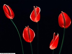 xhxz022_1_