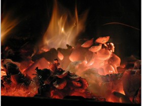 nice_pic_design_photo_80_1_