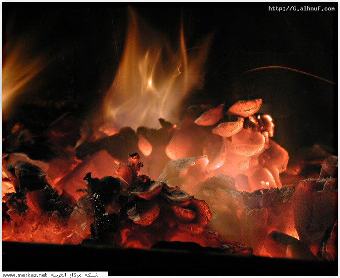 nice_pic_design_photo_80_1_