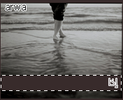 8709_11207032575