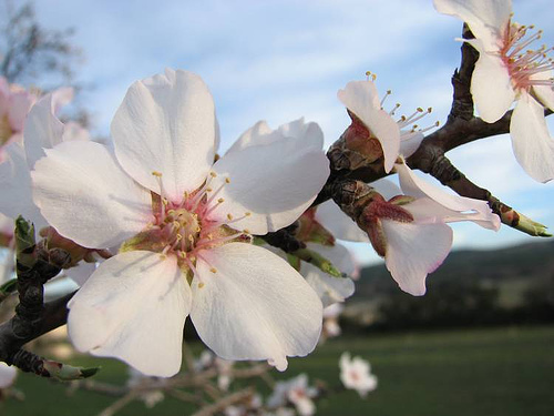 445961892_a23087c02b