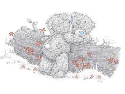 grey-bear-love-bears_1_