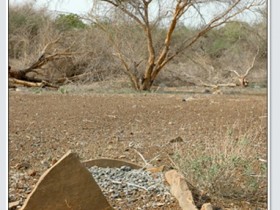 صور من ابداع اعضاء عمان فوتو