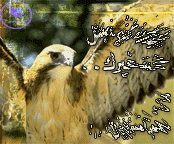 SmS 0509351751 (98)