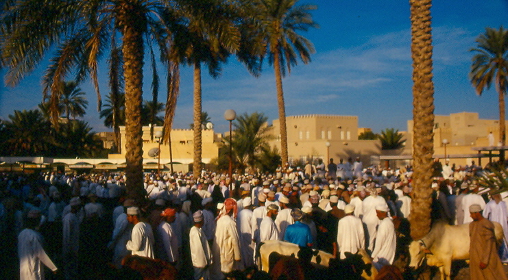 صور من ابداع اعضاء عمان فوتو