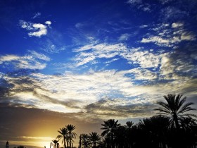 صور من ابداع اعضاء عمان فوتو