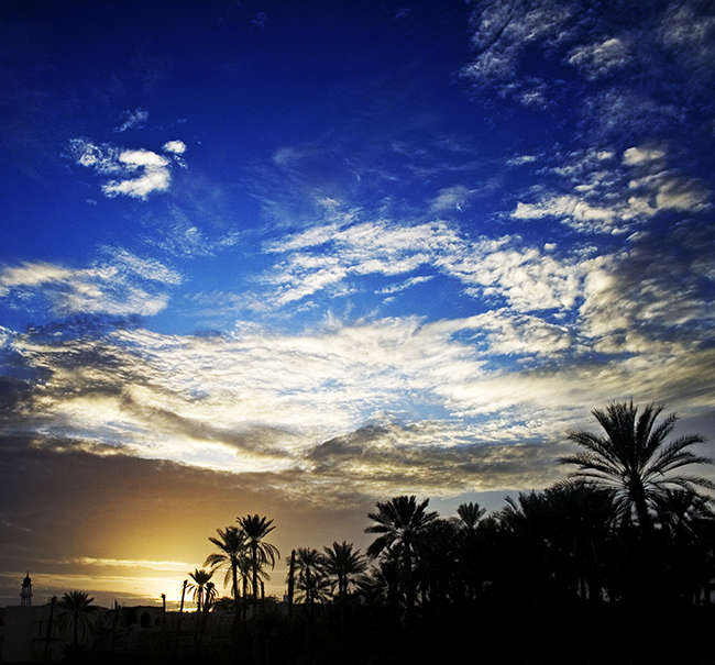 صور من ابداع اعضاء عمان فوتو